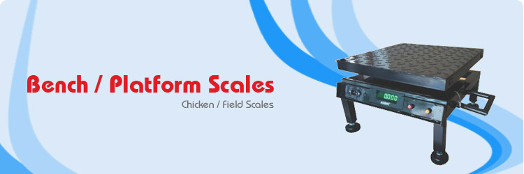Bench / Platform Scales